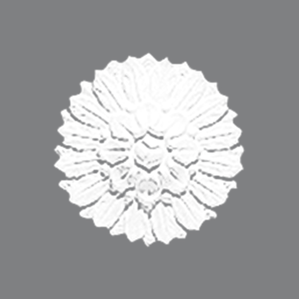 صرر فيوتك CC03